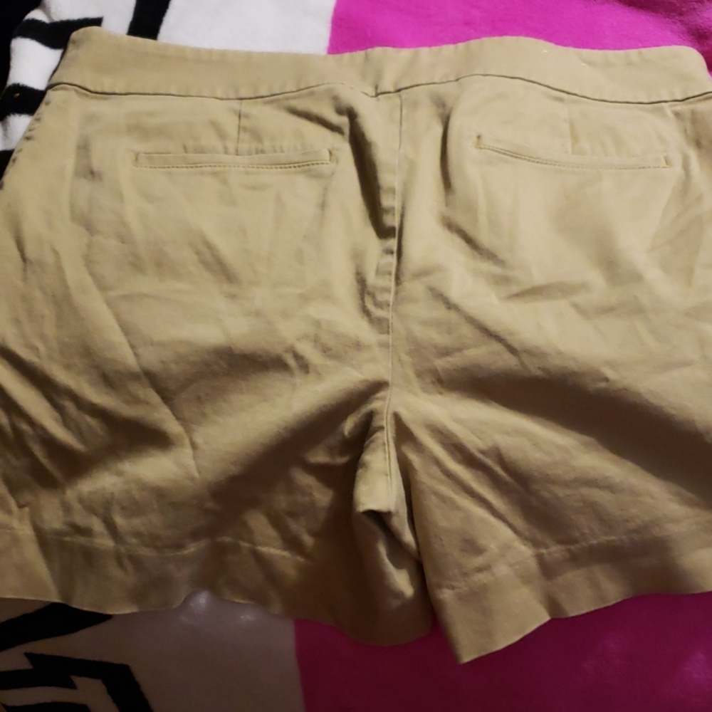 Loft Shorts - Picture 3 of 3